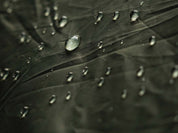 Telo da outdoor Highlander resistente e impermeabile