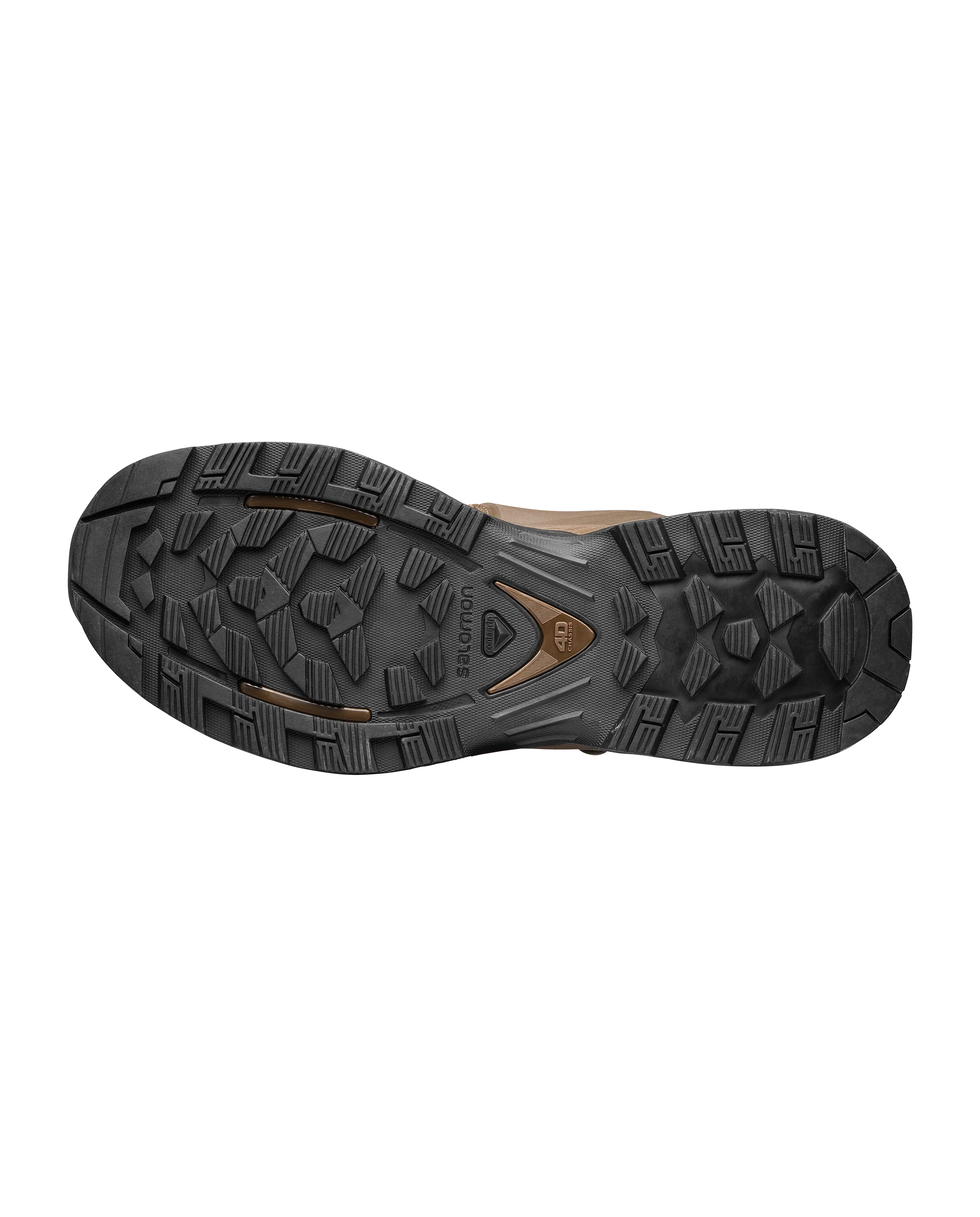Anfibi Salomon Quest 4D Forces 2 en